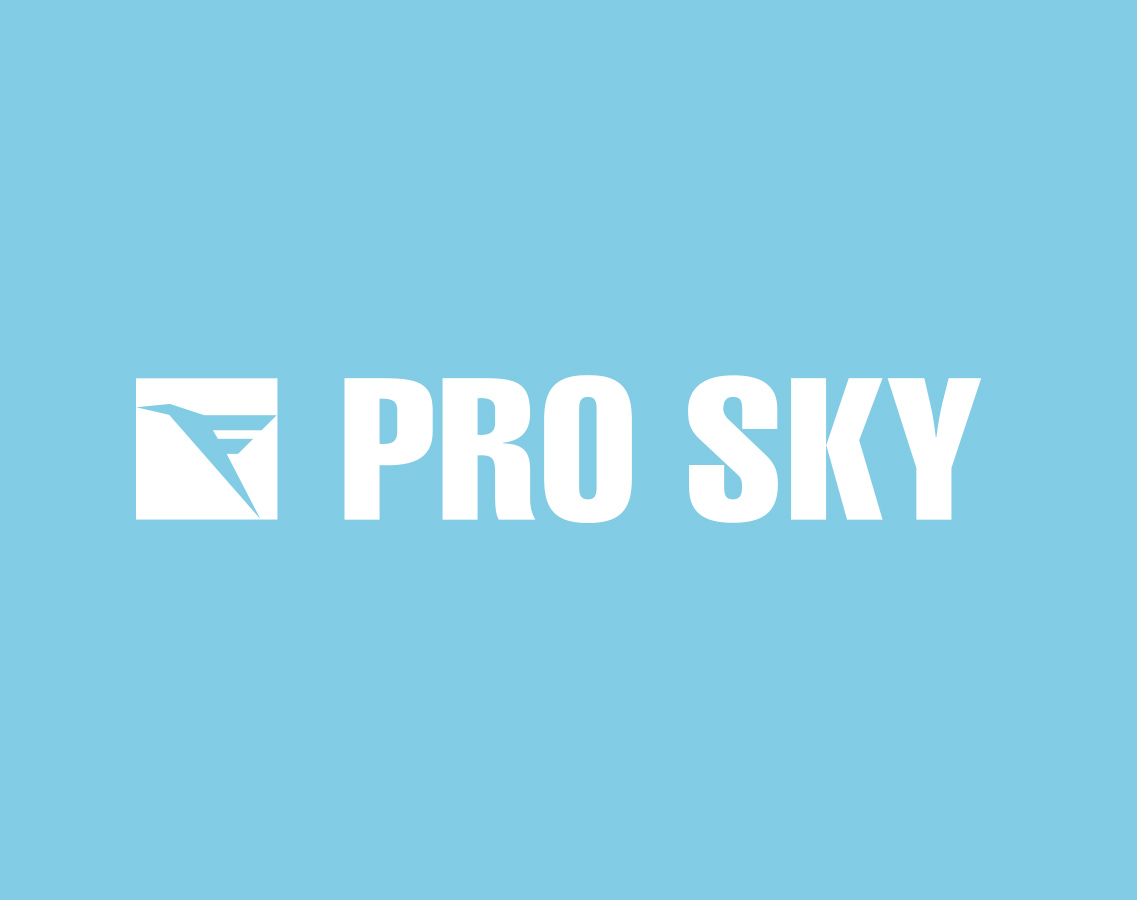 Logo Design PRO SKY